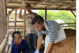 DKP Kota Tangerang tingkatkan pengawasan masuknya ternak dari luar daerah