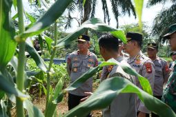 Sinergi Polri-TNI AU memperkuat ketahanan pangan nasional di Bengkayang