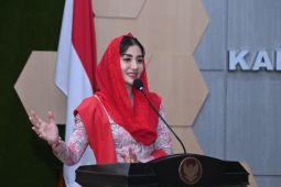 Anggota DPR dorong pemerintah perhatikan kesejahteraan kader Posyandu