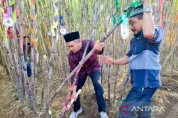 PG Assembagoes optimistis capai target giling 500.000 ton tahun 2025