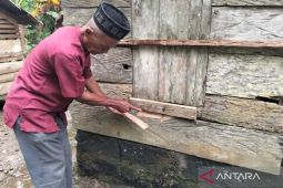 Beruang Liar "Teror" Warga Gampong Ie Lhob Abdya, BKSDA Diminta Turun Tangan