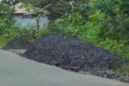 Dinas ESDM Kaltim bakal cek tumpukan batu bara diduga ilegal di tepi jalan nasional