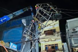 PLN bersama Pemkot pulihkan jaringan listrik pasca kejadian pohon tumbang di Pangkalpinang
