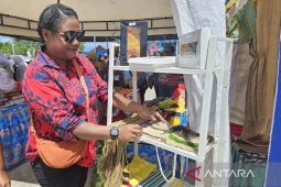 BPS sebut ekonomi Provinsi Papua triwulan pertama 2025 tumbuh 3,91 persen