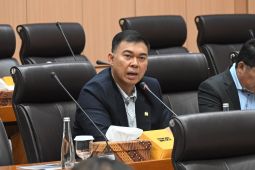 Anggota DPR sebut RUU Statistik perkuat BPS jadi badan pusat data