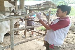 Jelang Idul Adha, Lampung Selatan perketat pengawasan lalu lintas hewan kurban