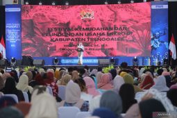 Anggota DPR: UMKM perlu perlindungan karena jadi pilar ekonomi bangsa