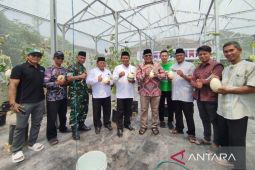 Kelompok tani di Kabupaten Bekasi membuka eduwisata kebun melon