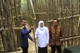 Gubernur Jawa Timur meluncurkan KUR petani tebu