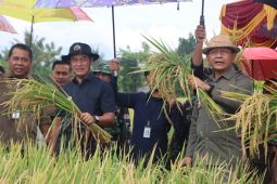 Pemkab Buleleng jadikan pertanian prioritas utama pembangunan