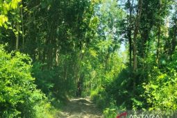 Warga Kalirejo Kulon Progo berharap jalan Sangon-Plampang diperbaiki