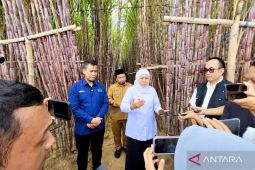 Pemprov Jatim, SGN dan Himbara luncurkan KUR khusus untuk petani tebu