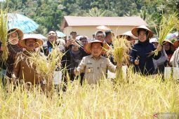 Gubernur Jambi minta kepala daerah benahi sistem pertanian