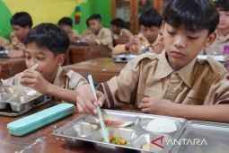 BGN sebut pemerintah tengah cari mekanisme kompensasi keracunan MBG