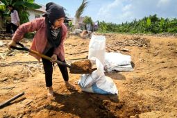 Warga Mempawah rasakan manfaat limbah kayu untuk cofiring biomassa PLTU
