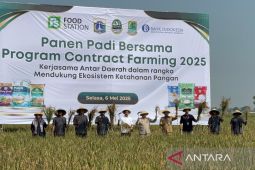 Pemprov DKI gandeng Pemkab Karawang kerja sama ketahanan pangan