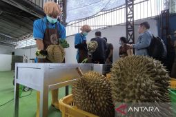 China buka akses ekspor durian beku asal Indonesia