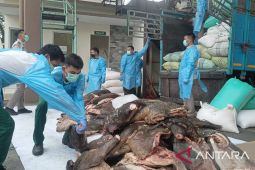 BKHIT Banten gagalkan penyelundupan 2,9 ton daging babi hutan di Merak