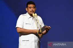 Gubernur Sumut tegaskan BKN bikin  ruwet