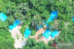 Tambang emas tanpa izin marak beroperasi di Tapanuli Selatan