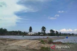 Distan Kobar siapkan lahan jelang Peda KTNA XIV tingkat Kalteng