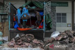 BKHIT Banten gagalkan penyelundupan daging babi hutan