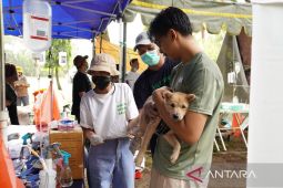 ITDC bantu vaksinasi rabies dukung pariwisata di Bali