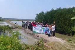 PHE OSES tanam 20.000 batang mangrove di Lampung Timur