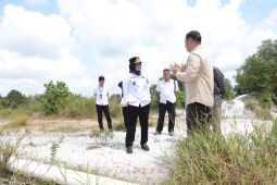 Babel dorong masyarakat Belitung Timur tanam singkong