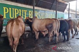 Pemkot Depok beri edukasi penjual hewan kurban untuk patuhi aturan