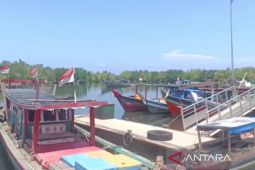 Pemkot Bengkulu imbau nelayan tidak tangkap benih bening lobster