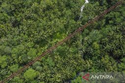 Jembatan kereta api terpanjang di Jawa Barat dan rencana reaktivasi jalur KA senilai Rp15 Triliun