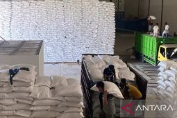 Stok beras di Sumsel meningkat dipengaruhi petani pilih jual gabah ke Bulog