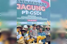 Panen perdana jagung, PT GSDI dan Polres Kobar sinergi dukung swasembada pangan