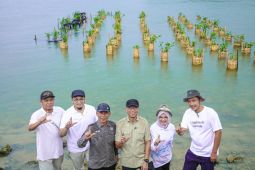 Gubernur Lampung sebut penanaman mangrove perkuat ketahanan wilayah pesisir
