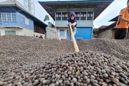 Pemprov Lampung sebut Koperasi Merah Putih wadah kelola potensi desa