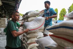 Mengukir sejarah baru perberasan