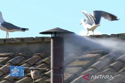 Paus baru terpilih pada konklaf hari kedua di Kapel Sistina