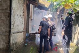 29 orang warga Cianjur terserang chikungunya, tiga diantaranya dirawat di RS