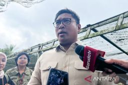 Wamentan: Filial skema atasi gudang Bulog penuh saat penyerapan