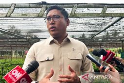 Wamentan sebut Koperasi Desa Merah Putih jadi terminal bantuan pemerintah di desa