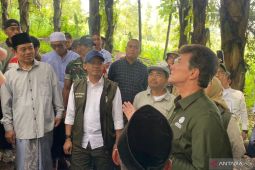 Menhut tinjau lahan aren di Garut untuk dukung produksi bioetanol