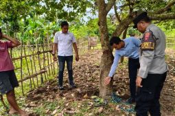 Warga Lombok Barat tewas gantung diri di pohon jambu mete