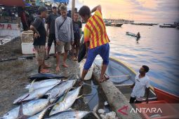 Hasil tangkapan ikan nelayan Kota Jayapura tahun 2024 mencapai 45.085 ton