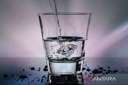 Berapa banyak air yang harus diminum saat sahur? Ini kata dokter