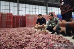 Harga pangan Senin ini, bawang merah Rp38.636/kg dan daging ayam Rp34.842/kg