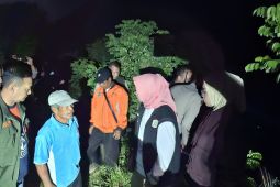 Pemkab Lumajang gerak cepat tangani kerusakan talud Sungai Rejali