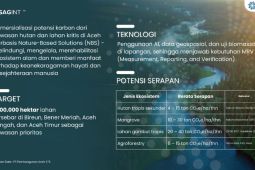 PEMA  targetkan 100 ribu hektare untuk kawasan pengembangan karbon
