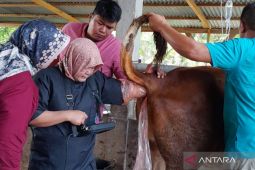 Distan Mukomuko sampaikan imbauan hewan kurban harus miliki SKKH