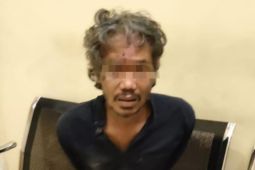 Cekcok berujung maut, Polsek Labuhan Ruku amankan pelaku pembunuhan di Desa Bogak